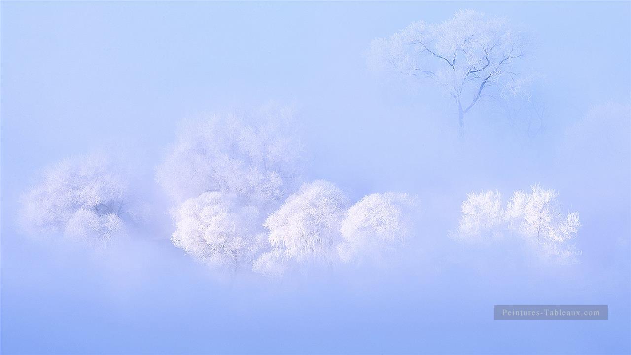 photographie réaliste 10 paysage d’hiver Peintures à l'huile